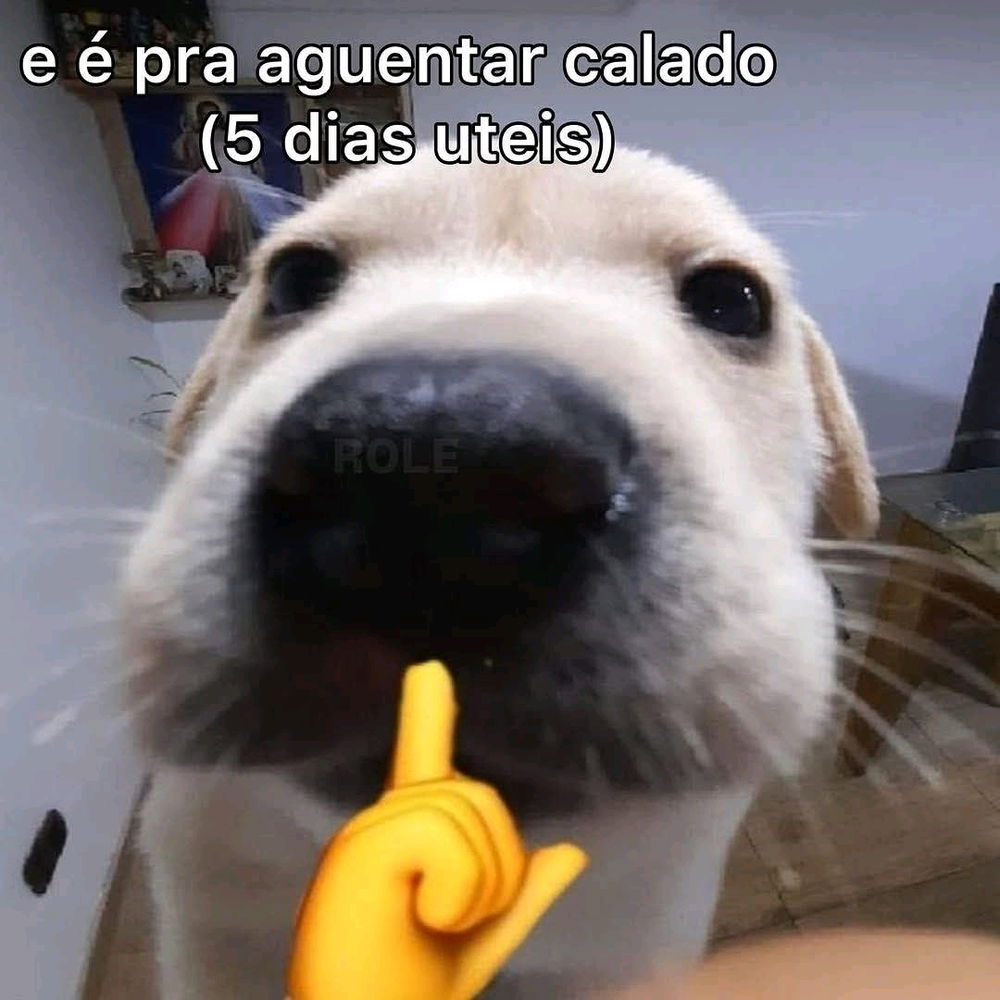 Começou a semana, e...