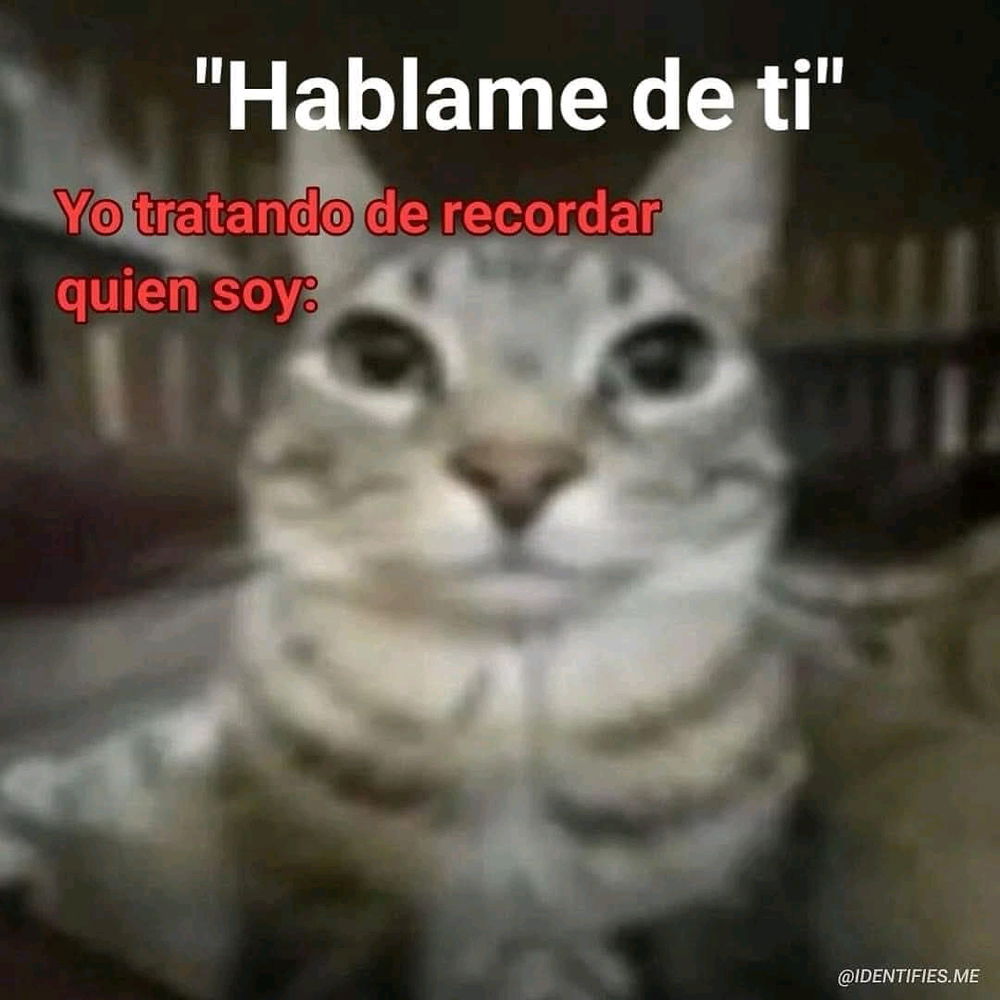 Soy