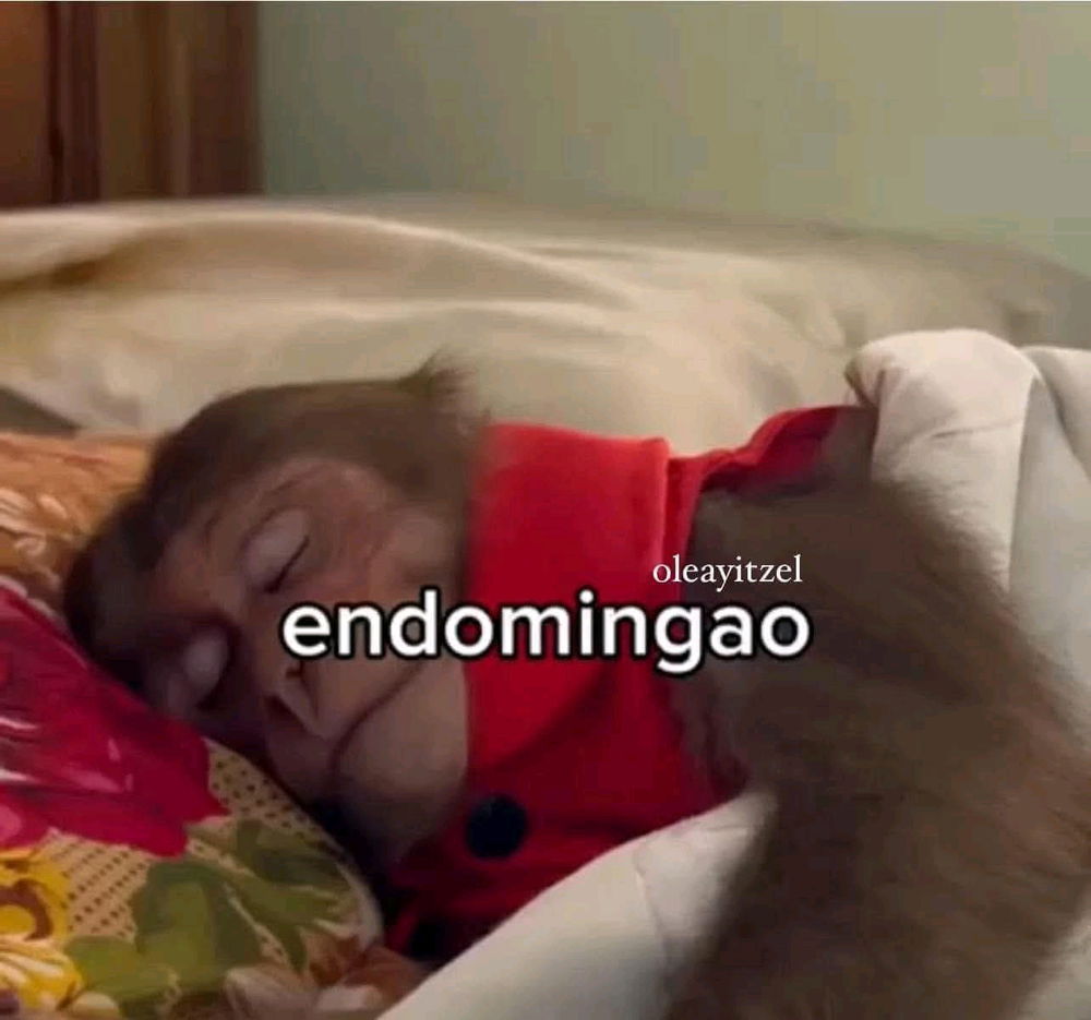 😴