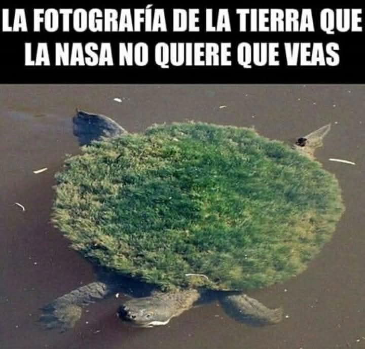 Santa madre tierra nadadora