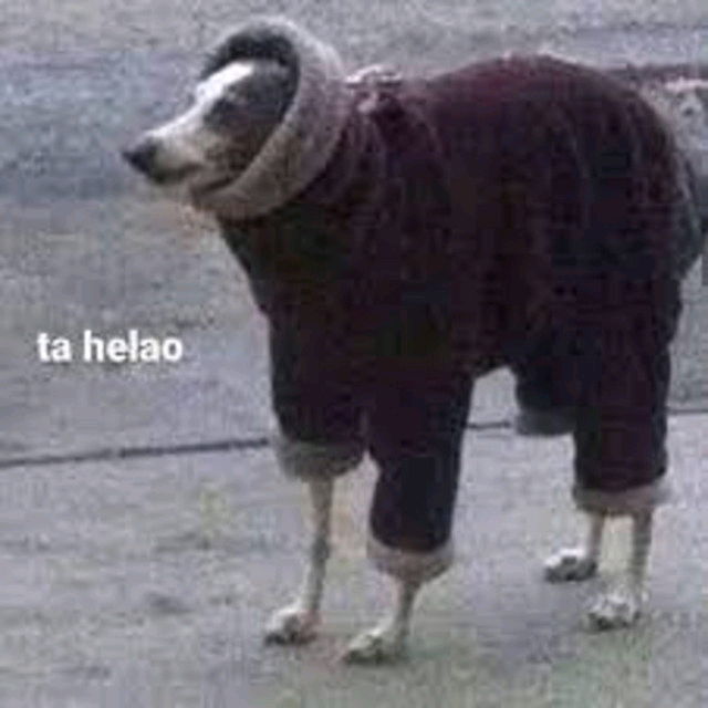 Ta helao