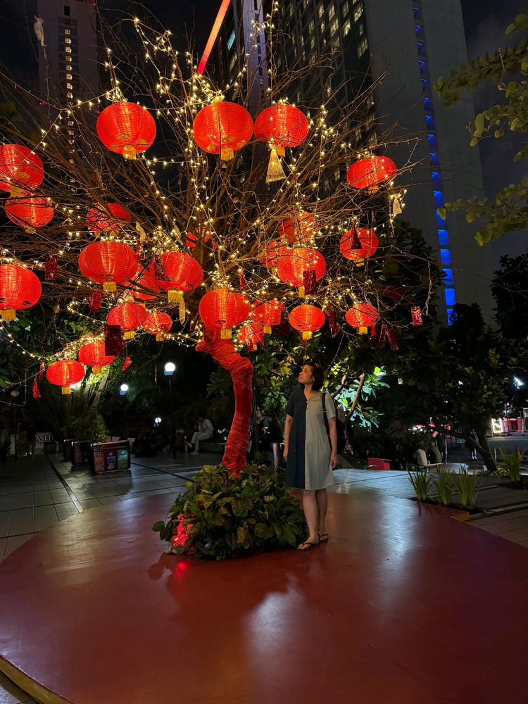 Under the tree