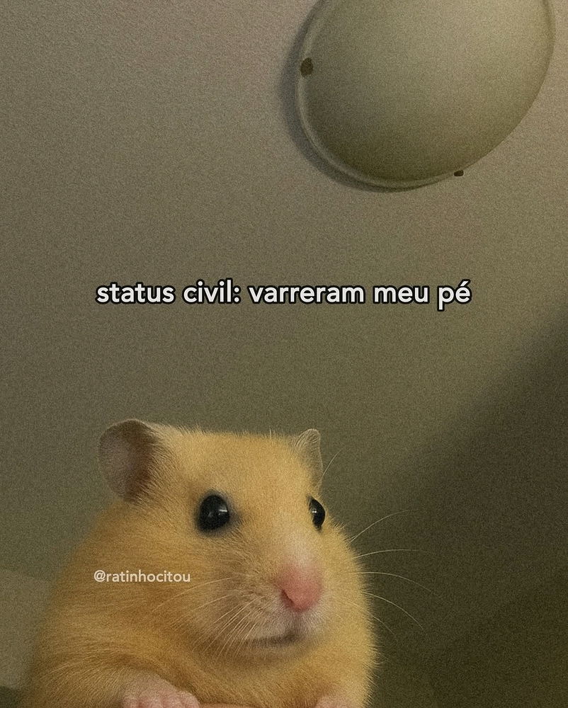 🐹😐