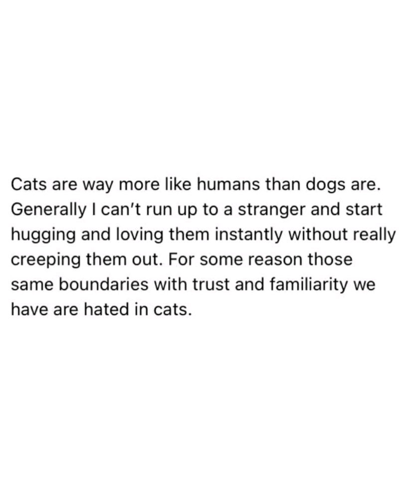 This 🤔