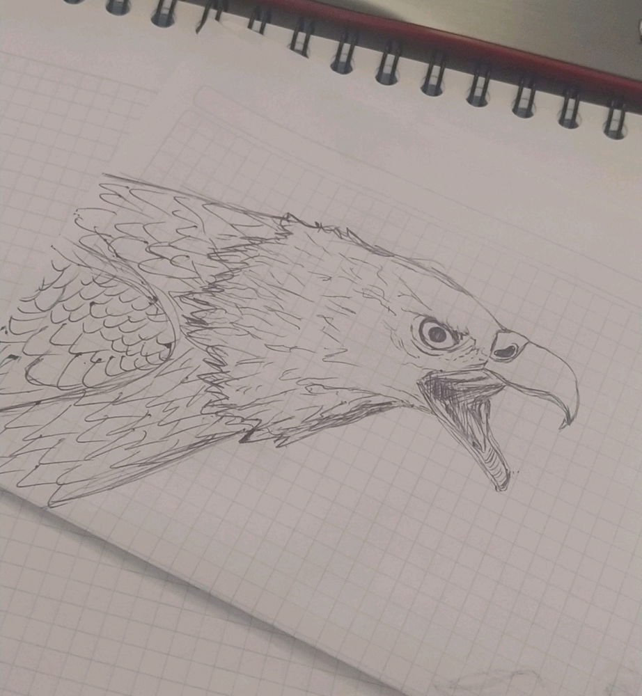 Eagle, eagle and more eagles
