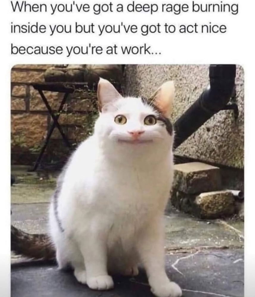 Happy Monday everyone!