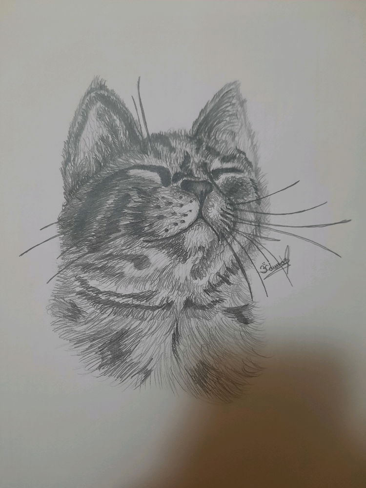 Dibujo