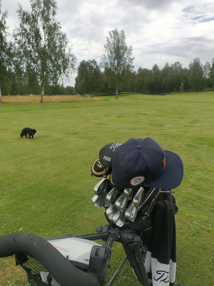 Golf