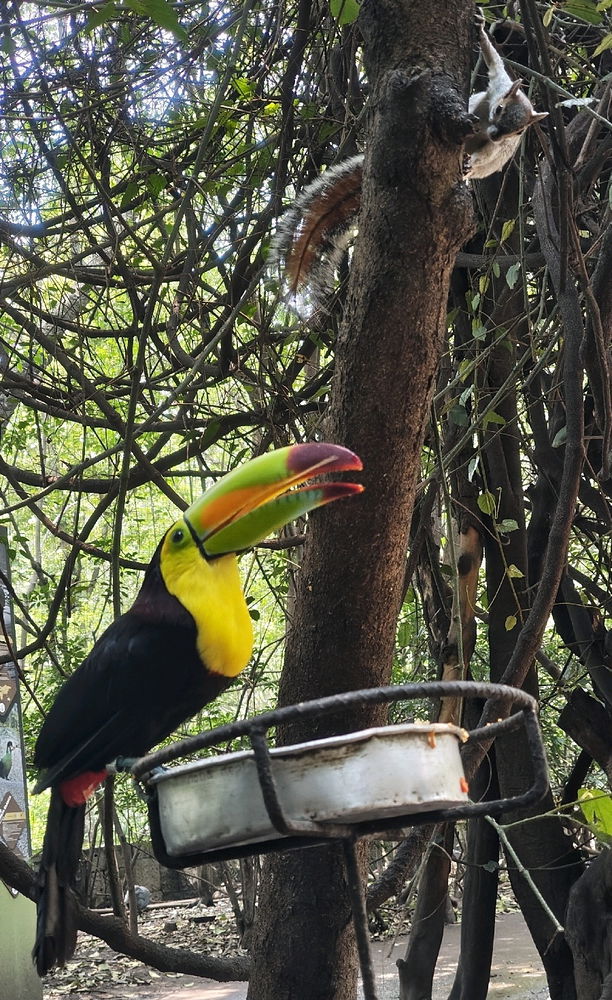 Zoológico
