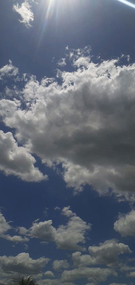 Céu