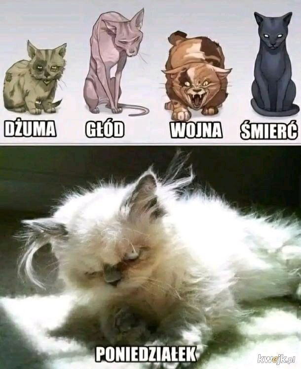 Poniedziałek