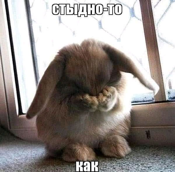 А у вас были такие мысли?