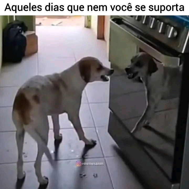 Segunda😩