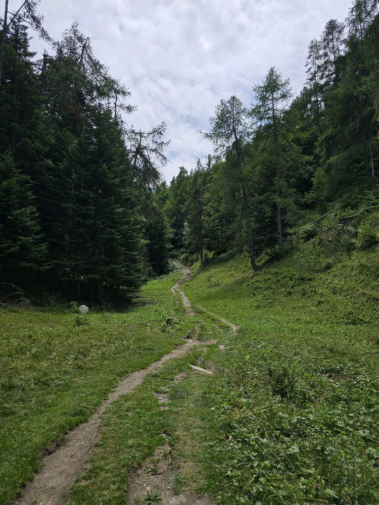 Il paradiso delle rane