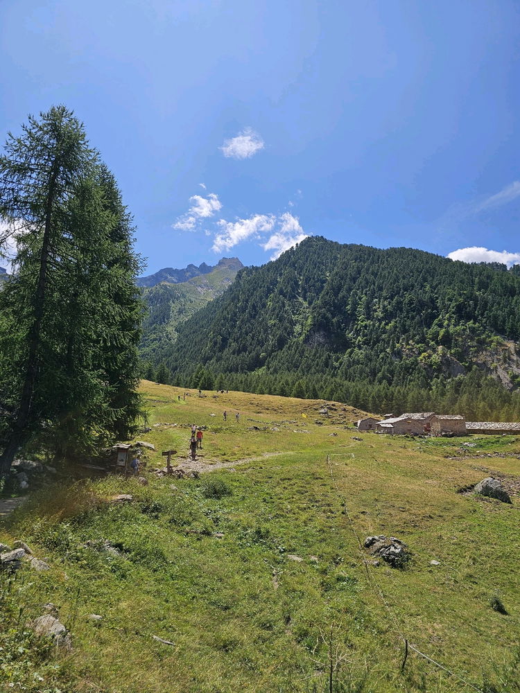 Il paradiso delle rane
