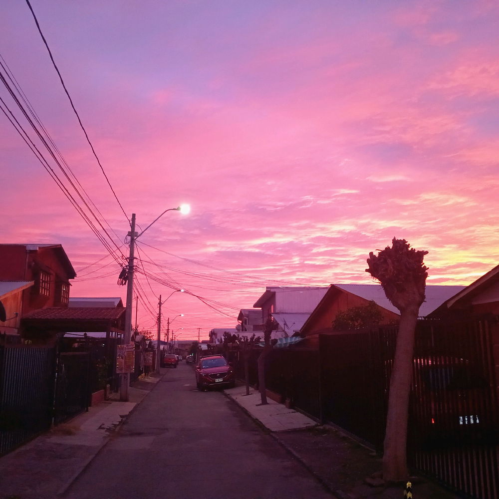 Excelente