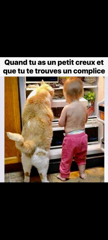 Fringale de minuit 😁