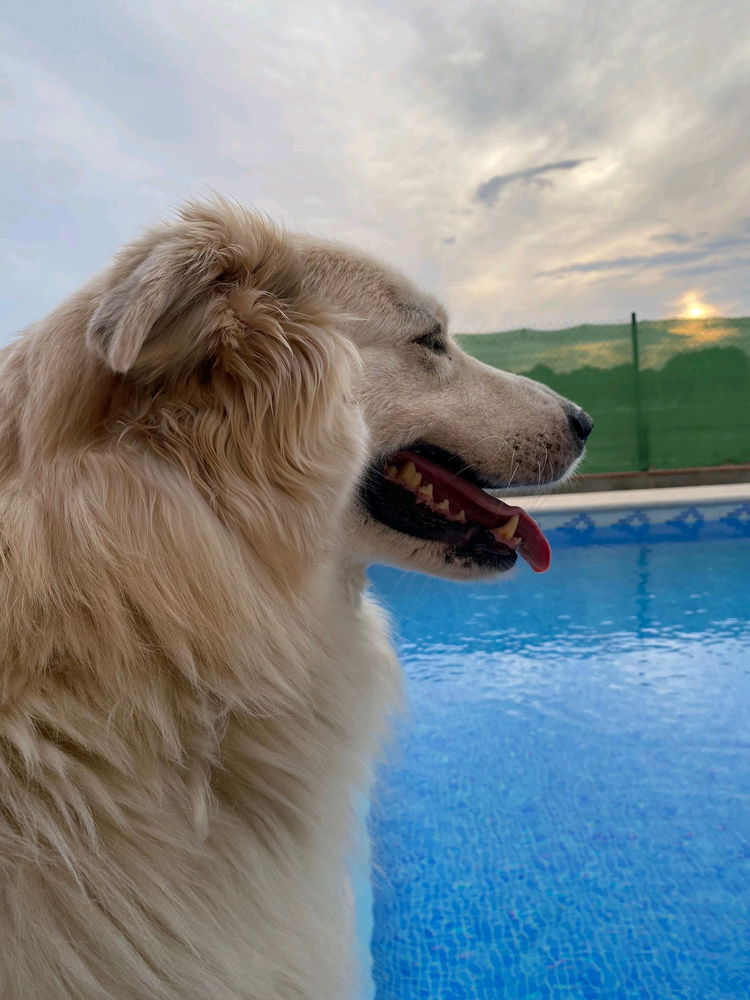 Mi princesita
