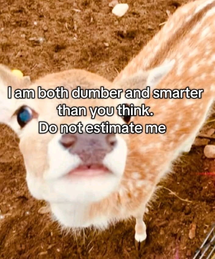 plz