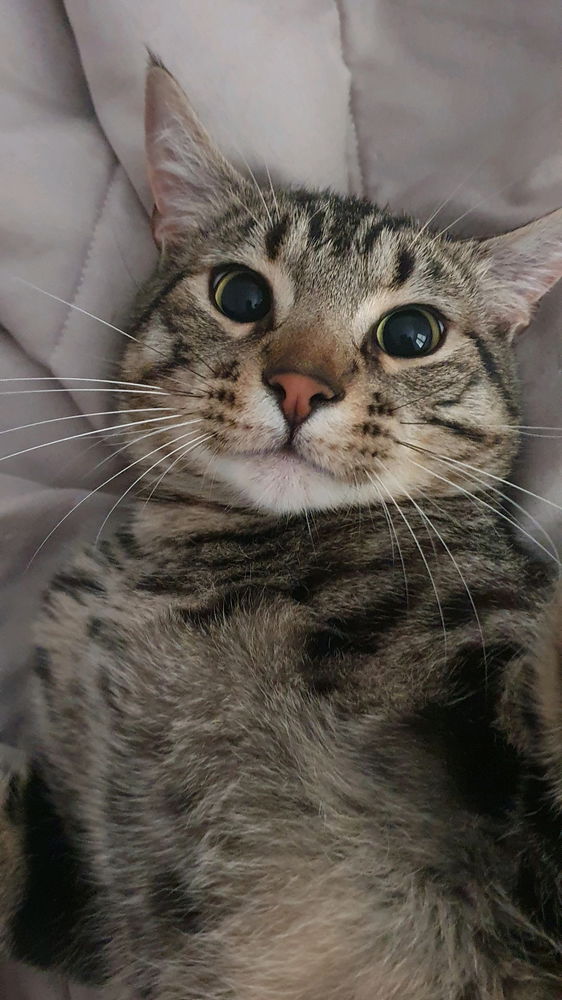 Selfie time?