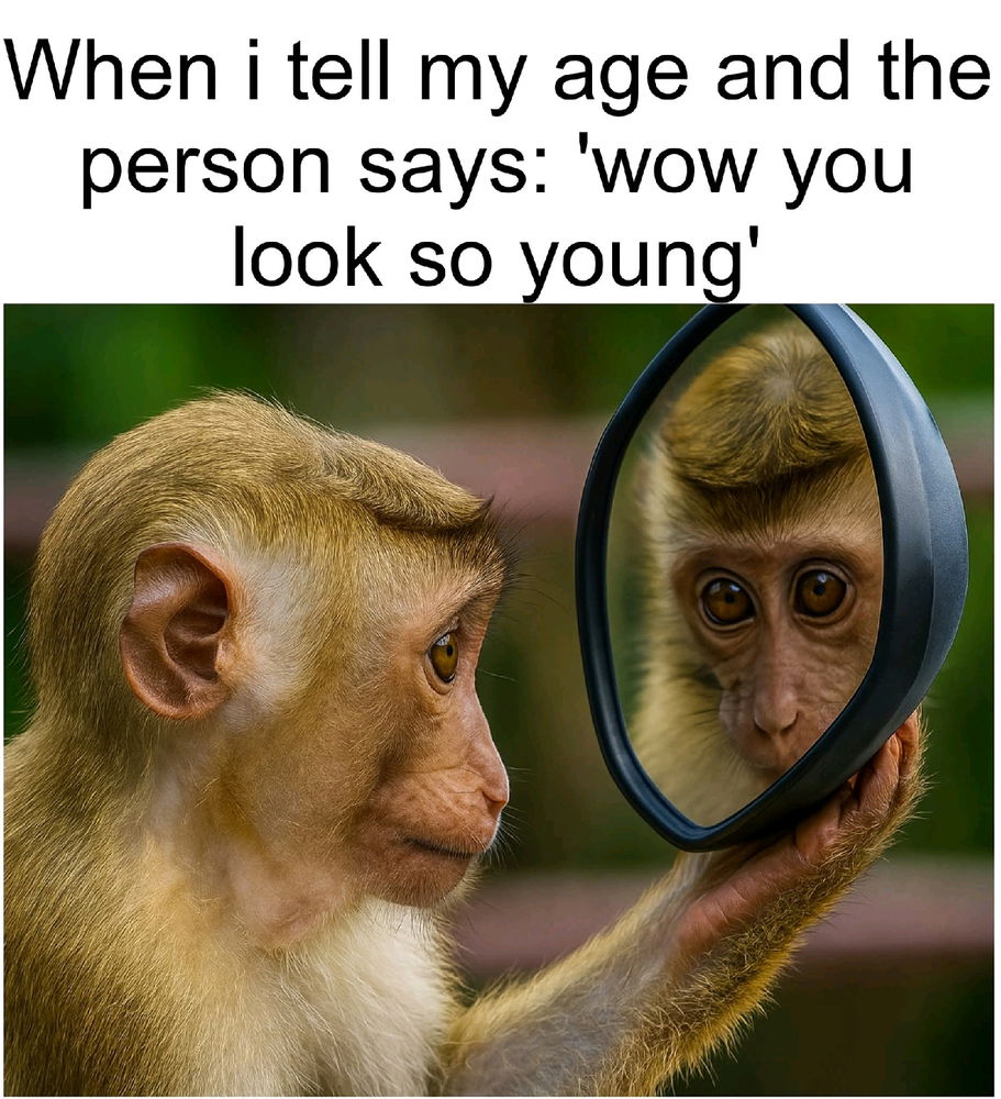 Lol 🤣