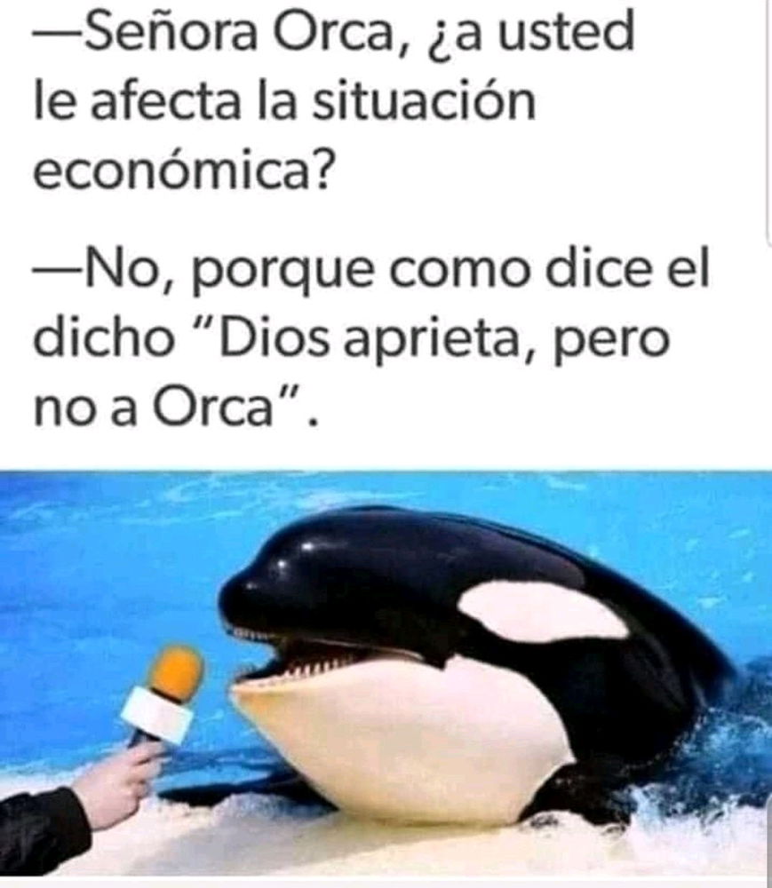 Pero no a Orca 🐋