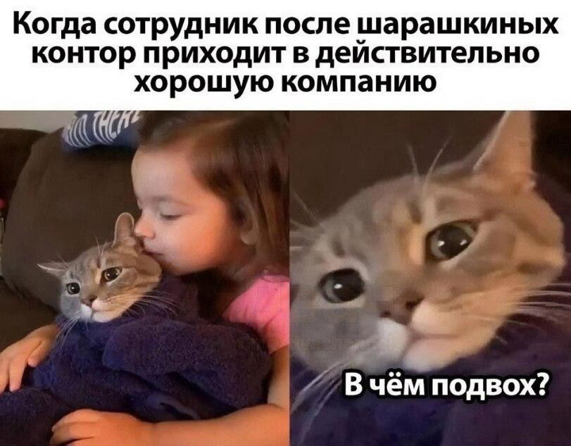 Я на последнем месте работы😁