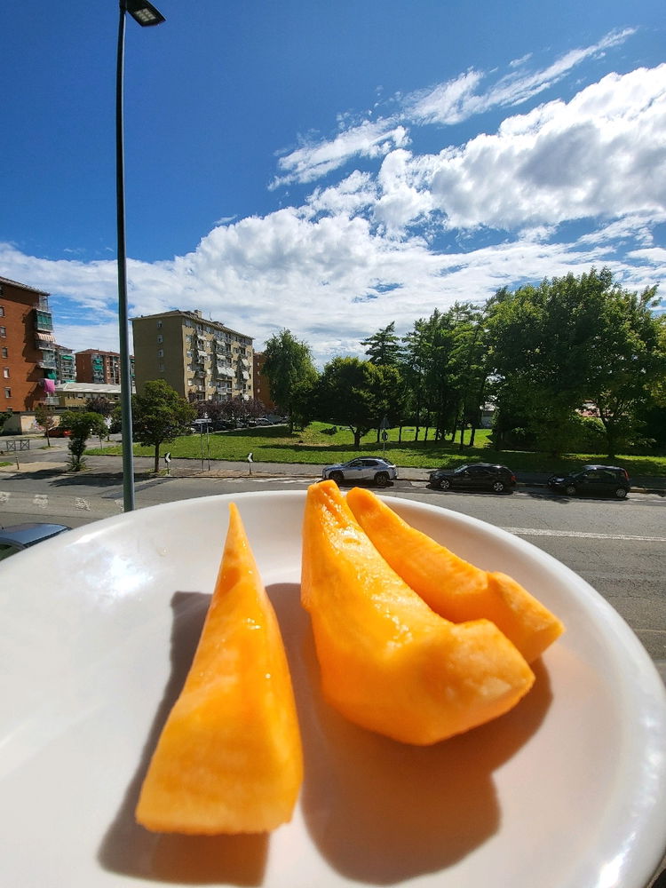 What fruit do you enjoy the most in summer ??