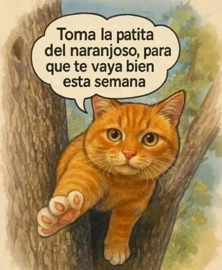 Buenos días 🤗