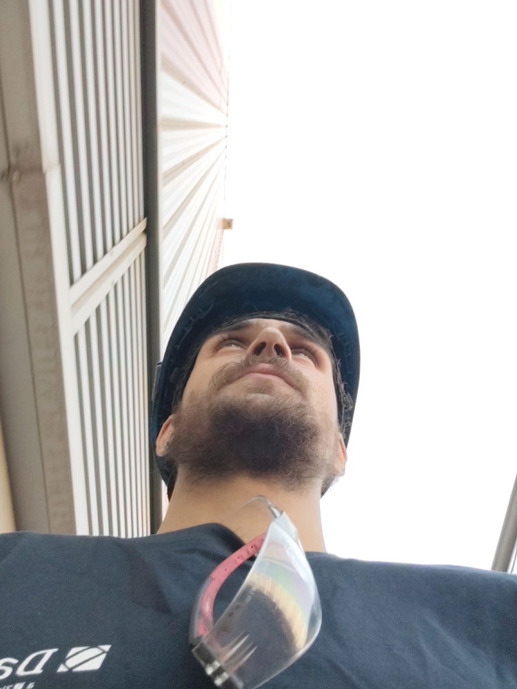 MAPACHE O BARBA ?