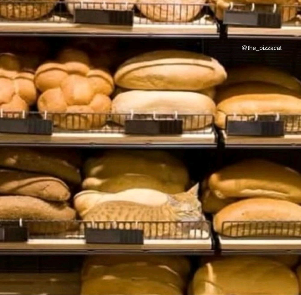 Fresh-baked.