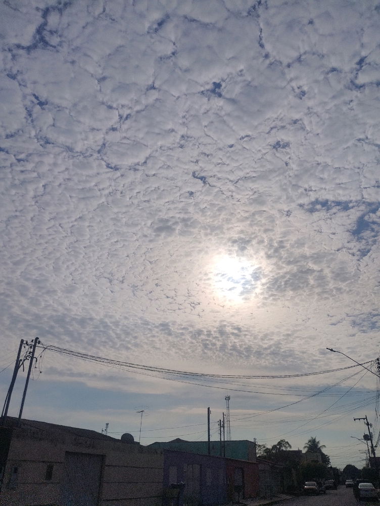 Bom dia, mais uma direto do norte