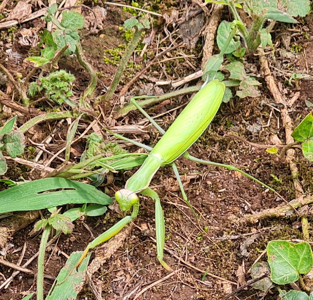 La squatteuse du jardin 🤪