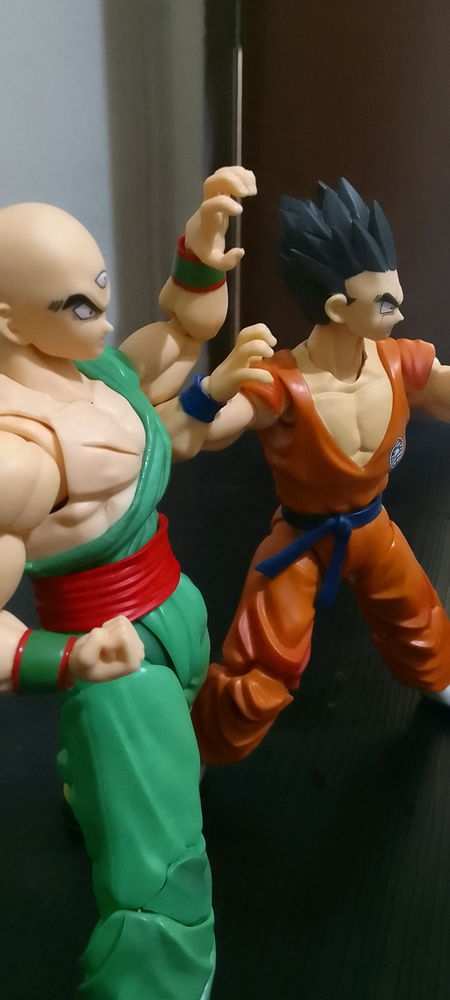 Falta so o picolo e o krilin pra fechar