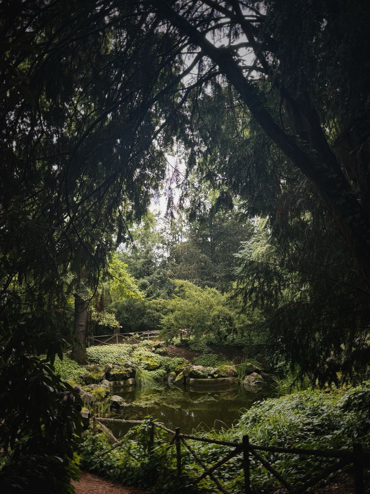 🌿