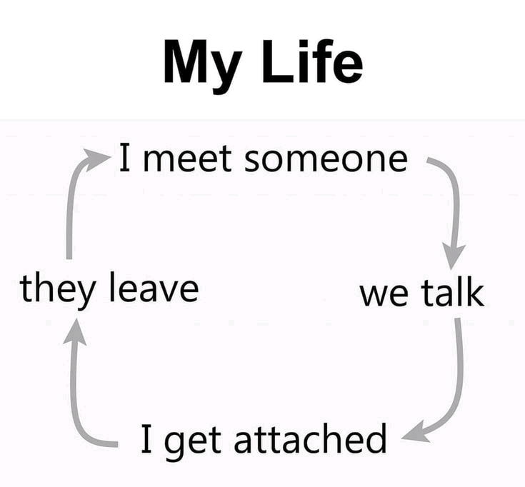 My life cycle.. 💔