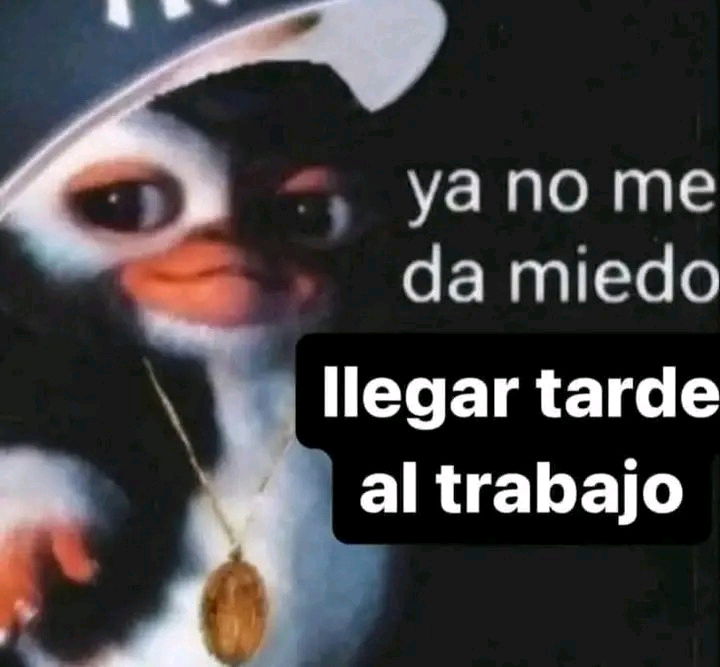 Sisoy