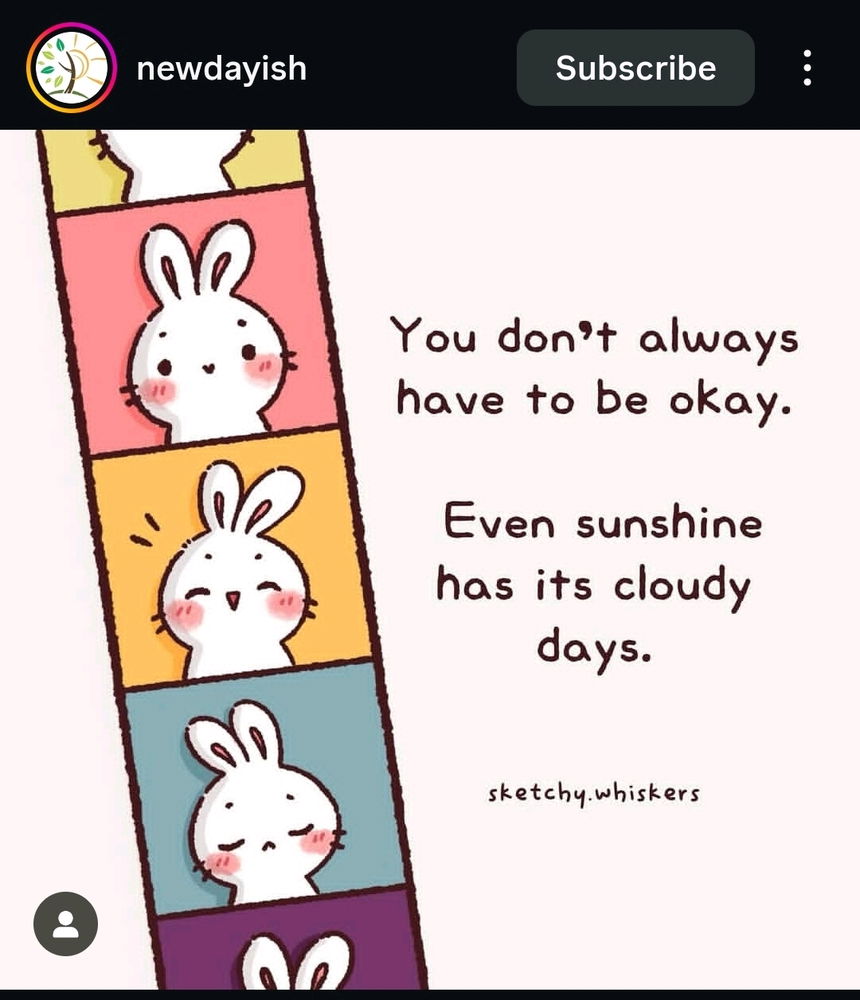 🐰