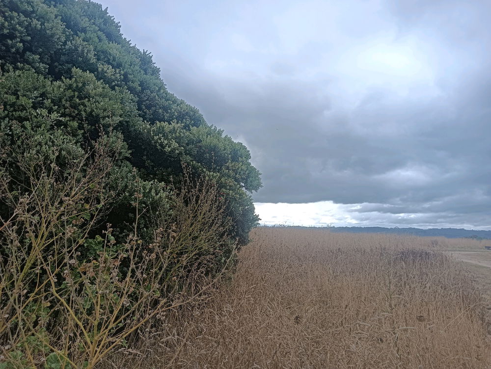 Lugar para citas
