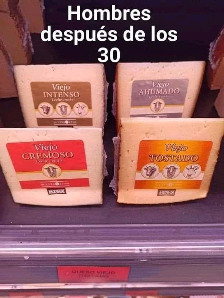 XD