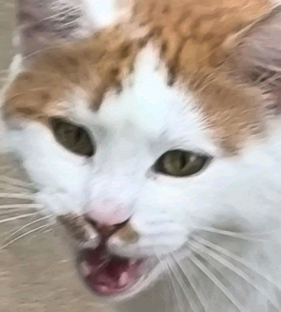 Krzyk