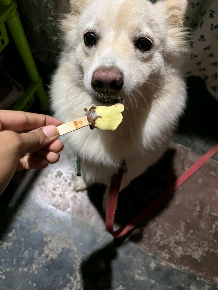 Cutie