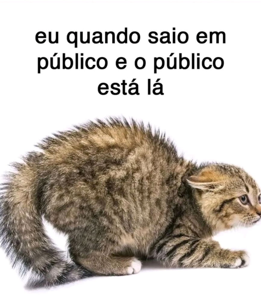 Memes