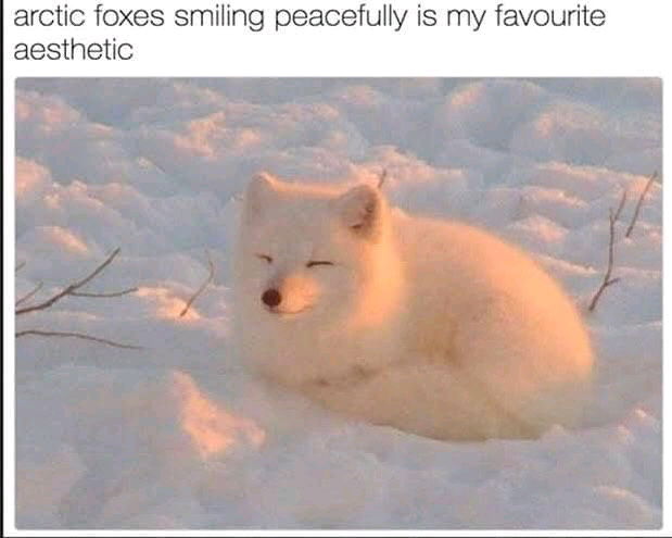 😍