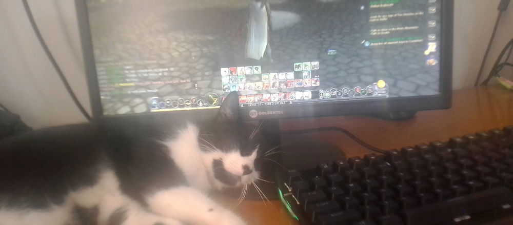 I just wanted to play