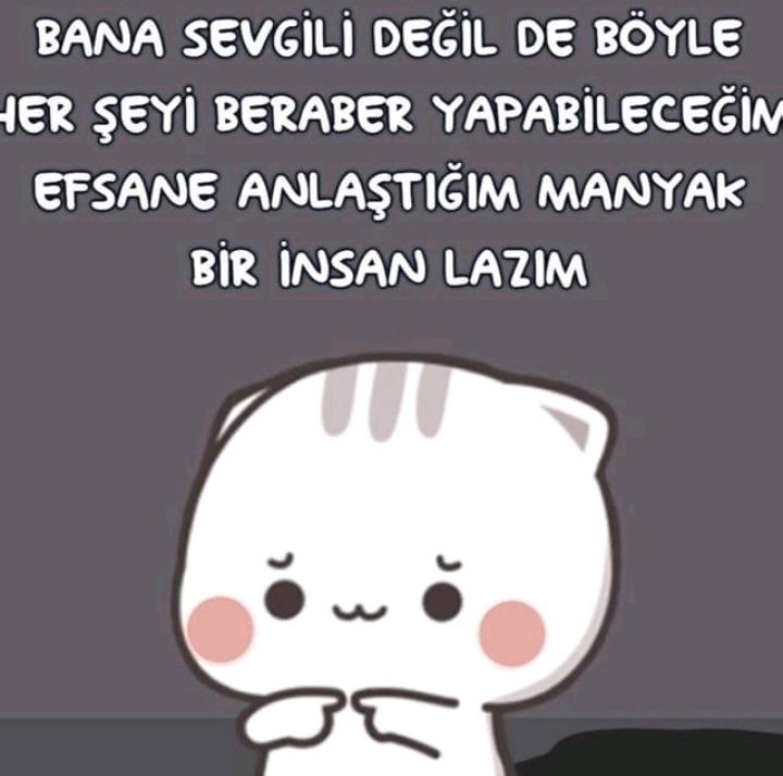 Manyak İnsan Arayışı