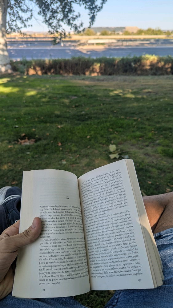 Paz y tranquilidad