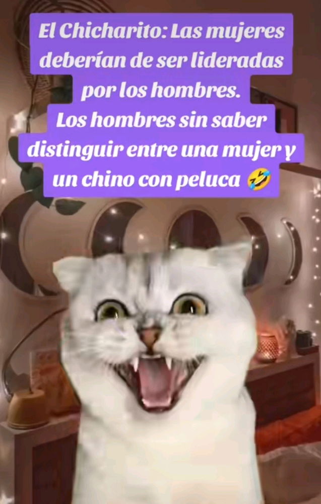 Ay perdón aún No lo supero 😂