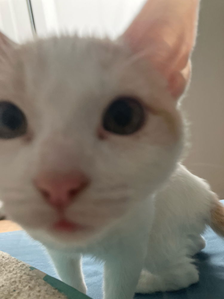 Mi hijito menor