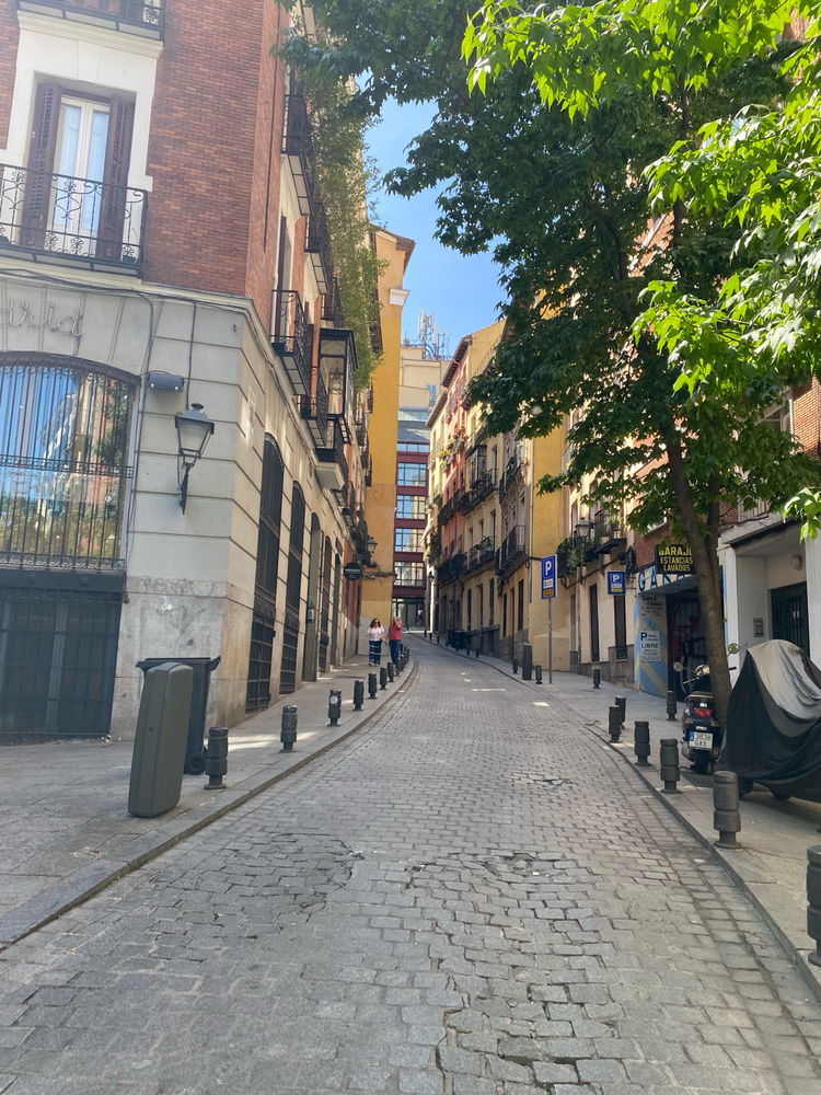 Buscando amigos para explorar toda la ciudad!